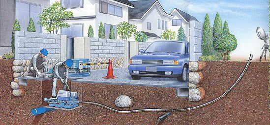 たけのこモール